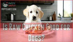 is raw chicken good for dogs