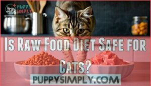 is raw food diet safe for cats