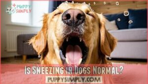is sneezing in dogs normal