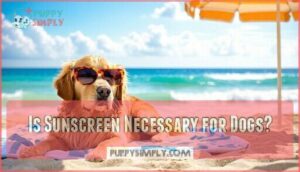 is sunscreen necessary for dogs