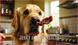 jerky and dog health