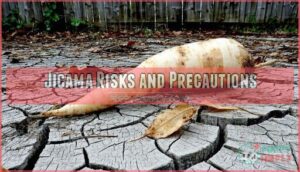 jicama risks and precautions