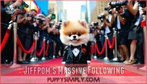 jiffpom's massive following
