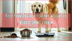 keep your dog at a healthy weight to reduce joint strain