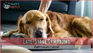 late-stage symptoms
