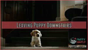 leaving puppy downstairs