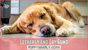 lethargy and dry gums