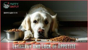 lethargy and lack of appetite