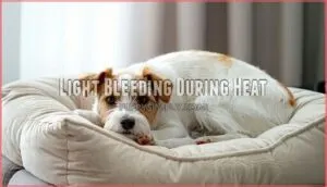 light bleeding during heat