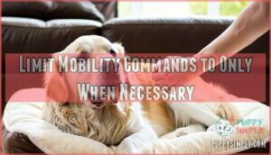 limit mobility commands to only when necessary