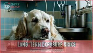 long-term exposure risks