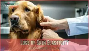 loss of skin elasticity