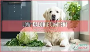 low-calorie content