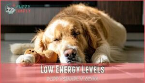 low energy levels