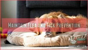 maintain flea and tick prevention
