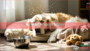 making the euthanasia decision
