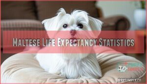 maltese life expectancy statistics
