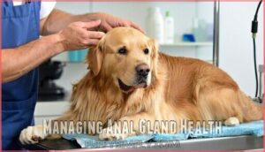 managing anal gland health