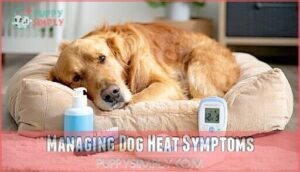 managing dog heat symptoms