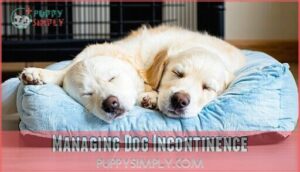 managing dog incontinence