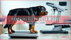 managing rottweiler weight