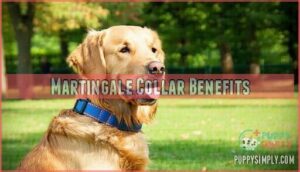 martingale collar benefits