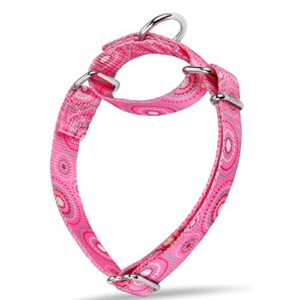 Martingale Collar Dog Collar No B08LS7MFWT