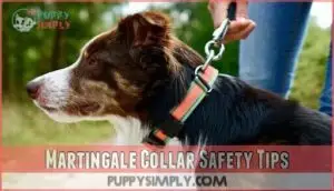 martingale collar safety tips