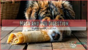 masa and dog digestion