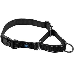 Max and Neo Nylon Martingale B01HSMZTW6