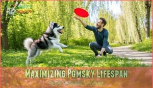 maximizing pomsky lifespan