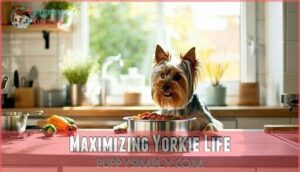 maximizing yorkie life