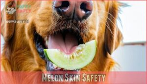 melon skin safety
