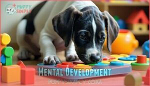 mental development