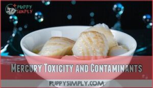 mercury toxicity and contaminants