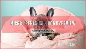 micro french bulldog overview