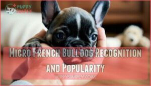 micro french bulldog recognition and popularity