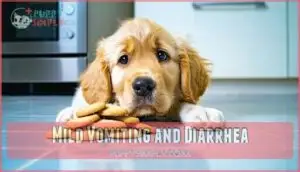 mild vomiting and diarrhea