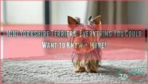 mini yorkshire terriers everything you could want to know