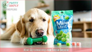 mint alternatives for fresh breath