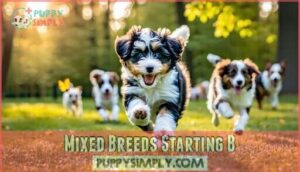 mixed breeds starting b