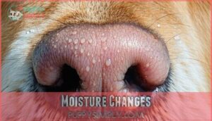 moisture changes