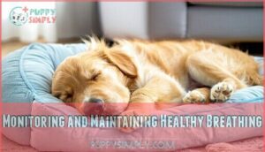monitoring and maintaining healthy breathing