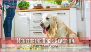 monitoring dog