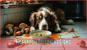 mushroom poisoning signs