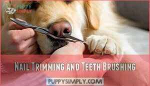 nail trimming and teeth brushing