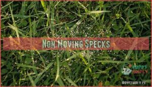 non moving specks