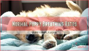 normal puppy breathing rates