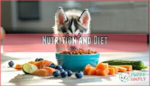 nutrition and diet