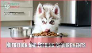 nutrition and feeding requirements